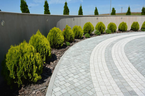 Best Brick Driveway Pavers  in Spring Valley, MN