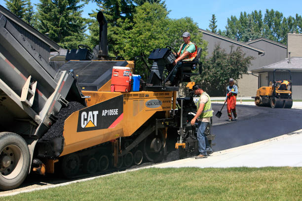 Best Driveway Paving Contractor  in Spring Valley, MN