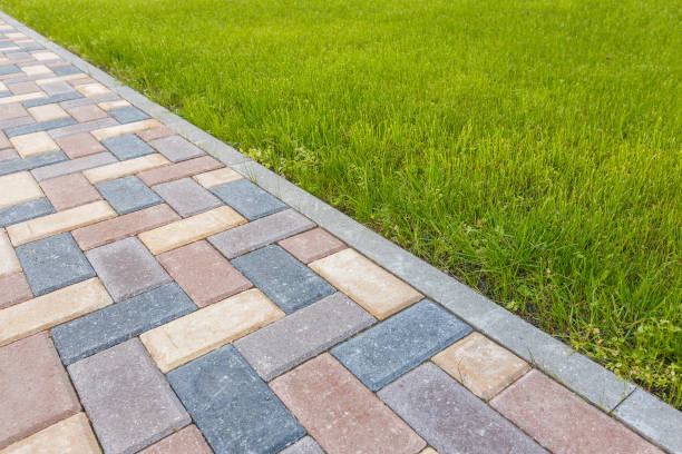 Best Local Driveway Pavers  in Spring Valley, MN